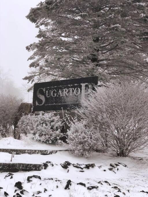 Altitude Adjustment Atop Sugar Mountain At Sugar Top Extérieur photo